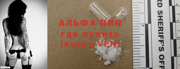 индика Лагань