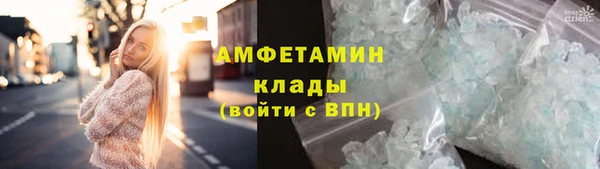 индика Лагань