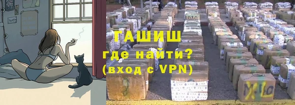 индика Лагань