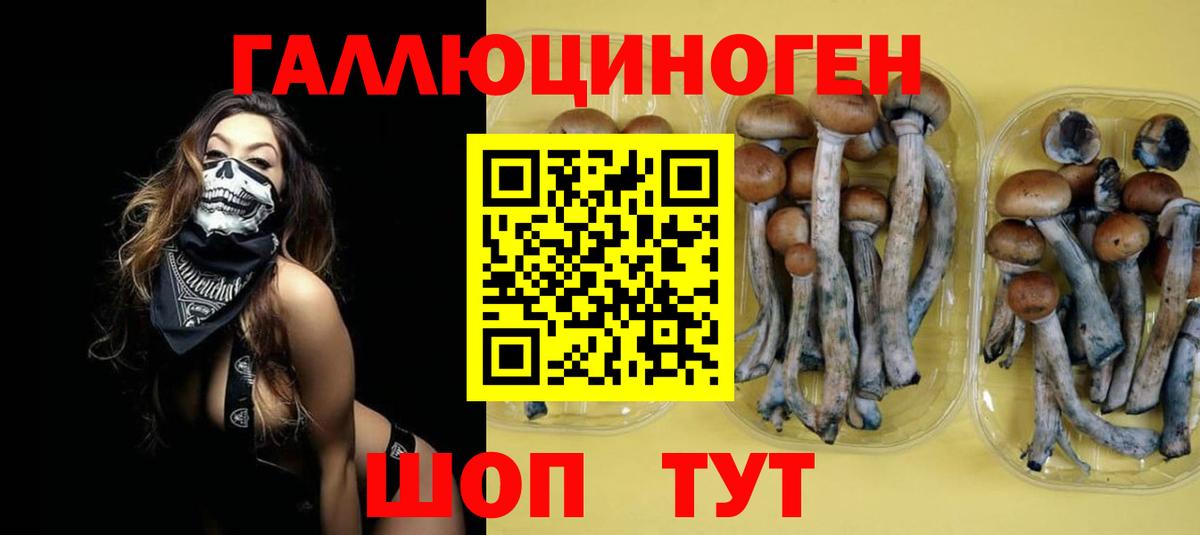Псилоцибиновые грибы Magic Shrooms Первоуральск