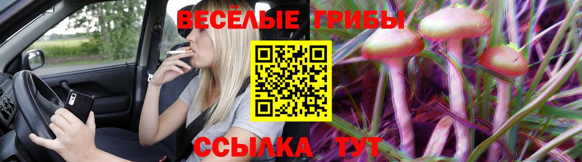 Псилоцибиновые грибы MAGIC MUSHROOMS  Вход с VPN  Первоуральск 